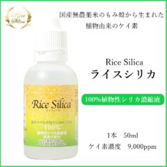 ライスシリカ 50ml 水溶性ケイ素 植物性シリカ 濃縮液 ヘアケア スキンケア ネイル 育毛 美容 サプリ 植物由来 アトピー 糖尿 手荒れ 肌荒れ 便秘 生理痛 かゆみ ミネラル アミノ酸 亜鉛 コラーゲン リーキーガット 珪素 日本製 潤い おすすめ クレディ創食 正規品 特許製法